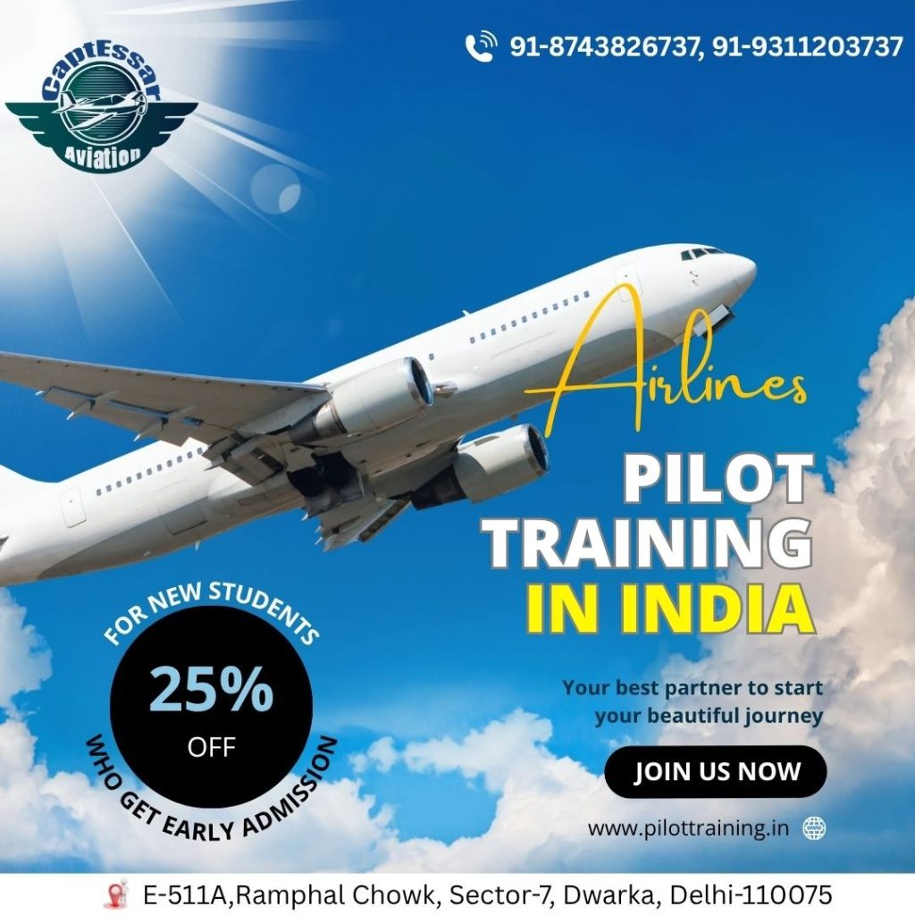 Dreaming of Becoming a Pilot